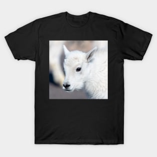 Babby T-Shirt